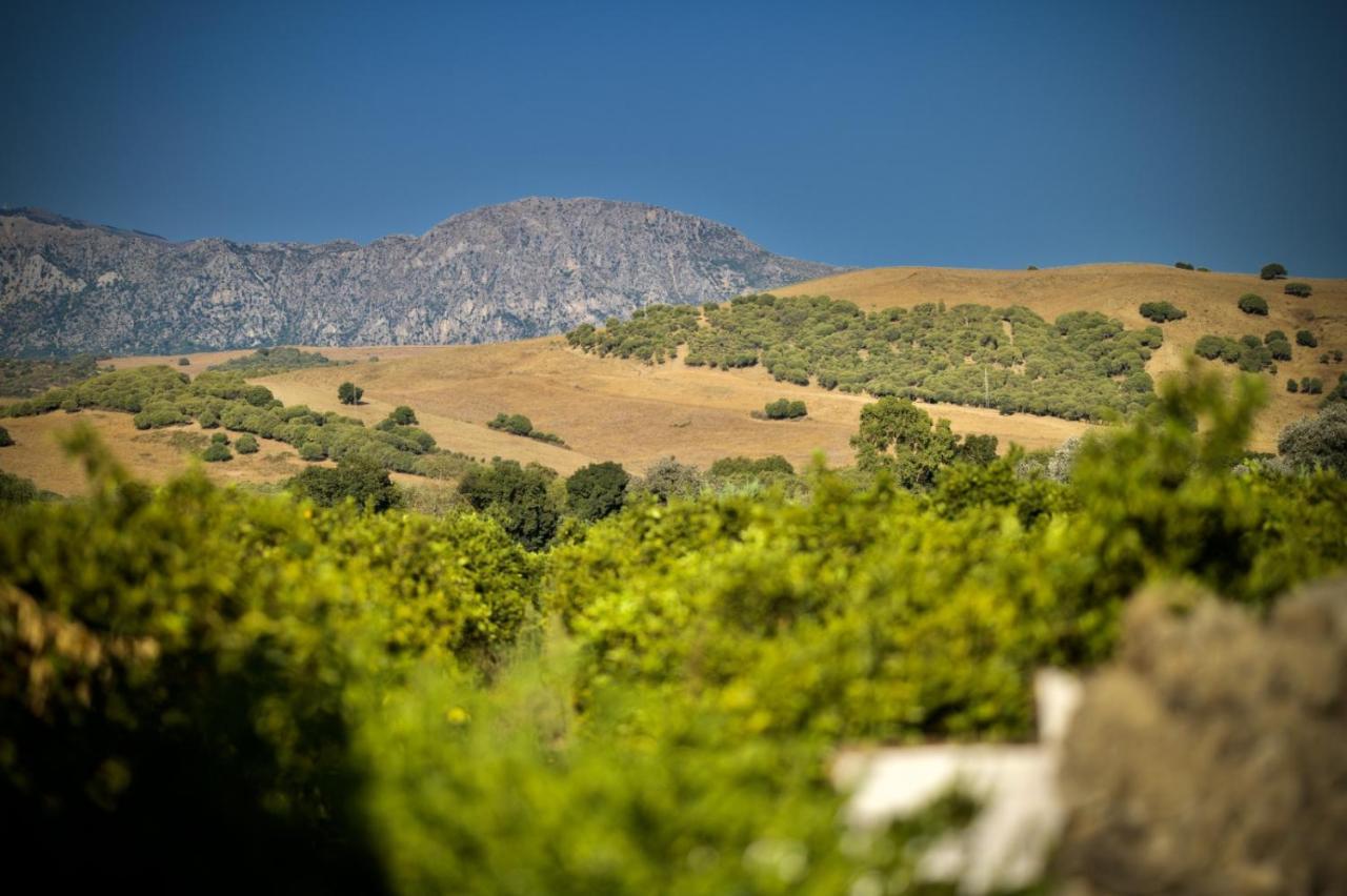 Finca Los Pajaros San Pablo Zewnętrze zdjęcie
